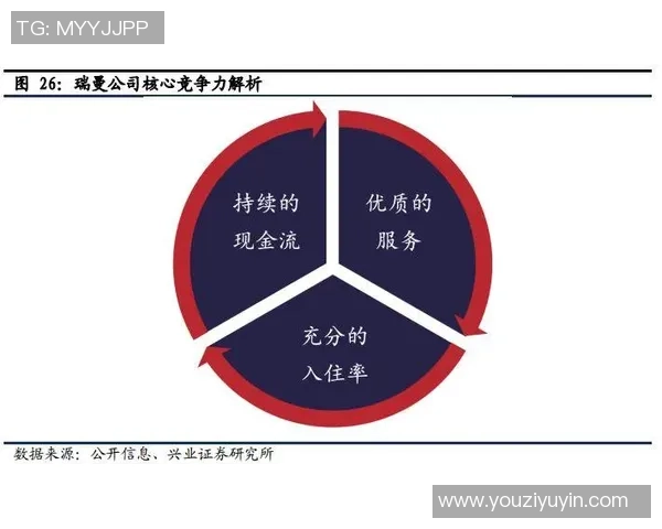 南京排球队运营分析：成功经验与面临挑战的深度探讨